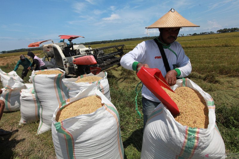 Presiden Jokowi pastikan seluruh harga bahan pokok terjangkau