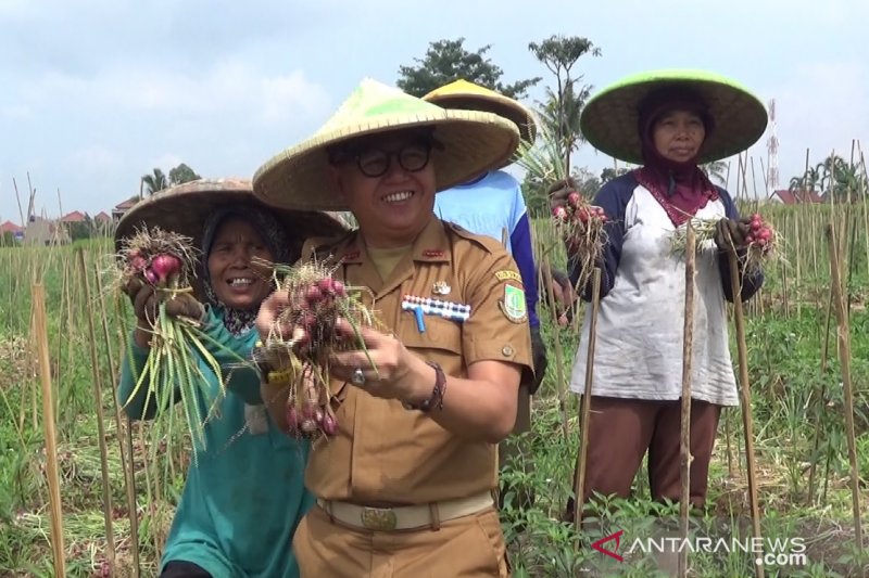 Dinas Ketahanan Pangan Kota Sukabumi luncurkan aplikasi Pasta Melon