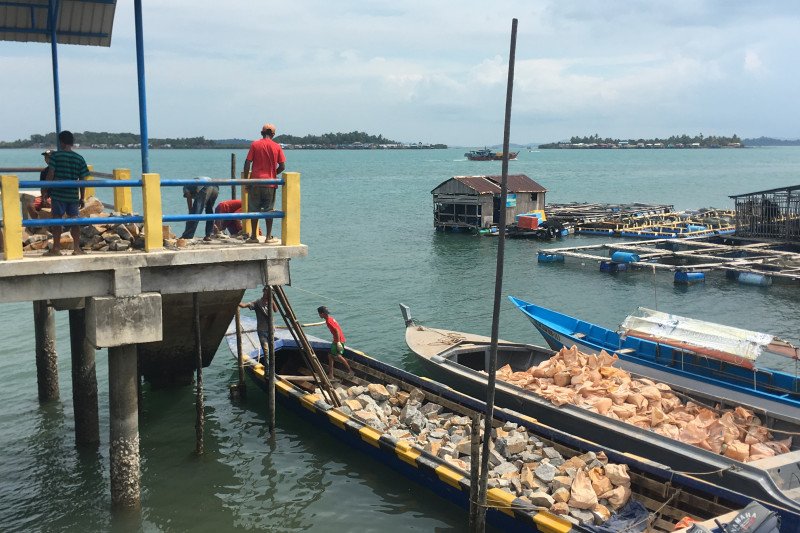 Bahan bangunan untuk pulau