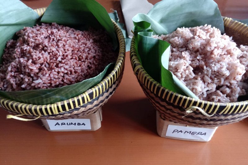 Inpari Arumba, padi inovasi Balitbangtan kaya antioksidan