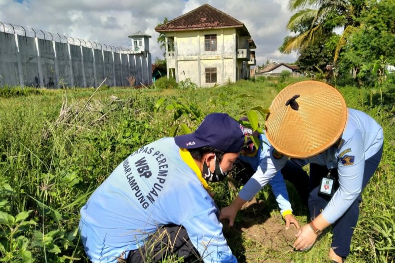 Peringati Hari Bumi, warga binaan Lapas perempuan tanam 50 pohon