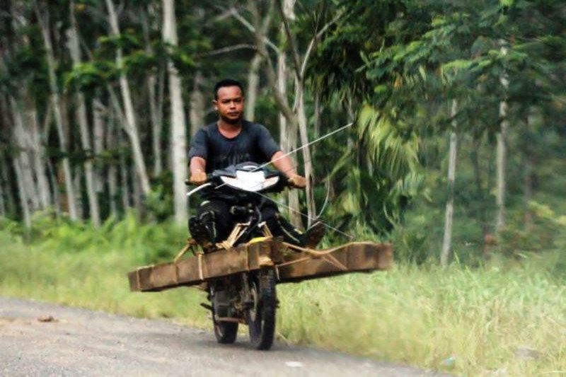 Angkut Kayu Pembalakan Liar