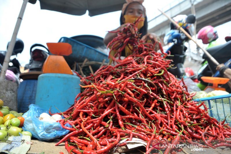 Harga cabai merah  di Palembang turun