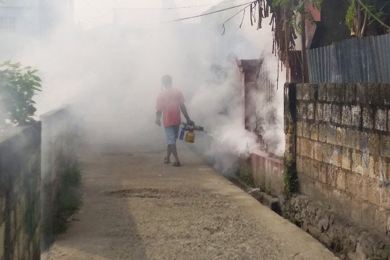 Pengasapan mencegah Demam Berdarah Dengue di Papua