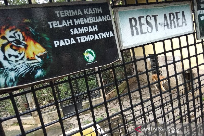 Taman Satwa Garut kesulitan dana untuk kebutuhan pakan hewan