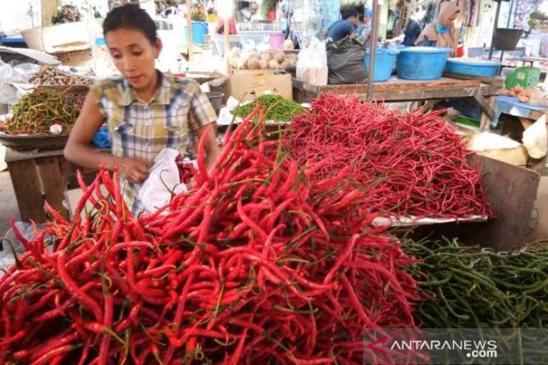 HARGA CABE TURUN DI PADANG