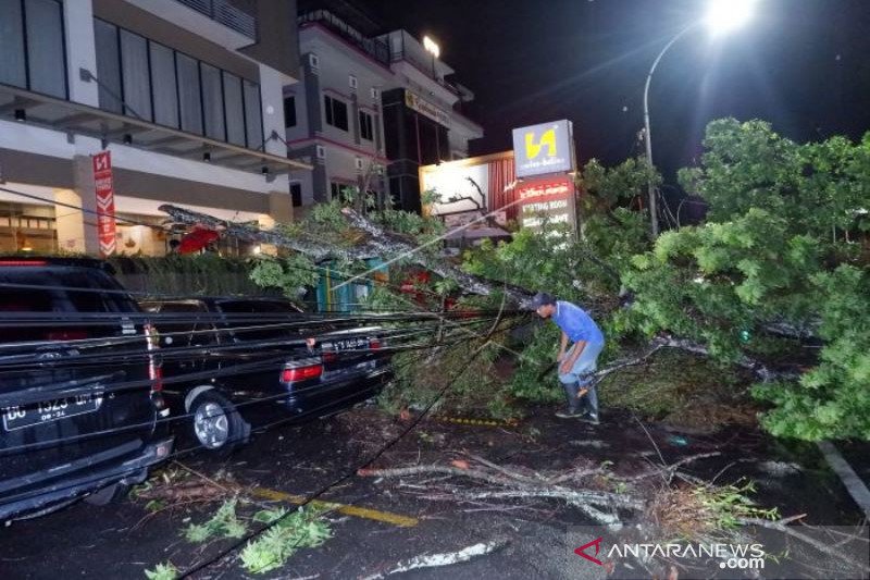 POHON TUMBANG AKIBAT ANGIN KENCANG