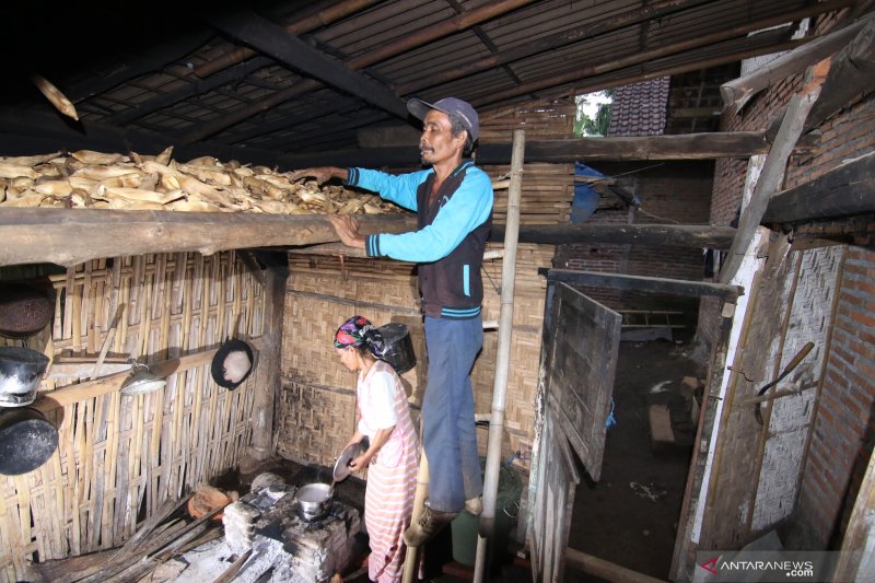 Simpan Jagung di Lumbung untuk Ketahanan Pangan