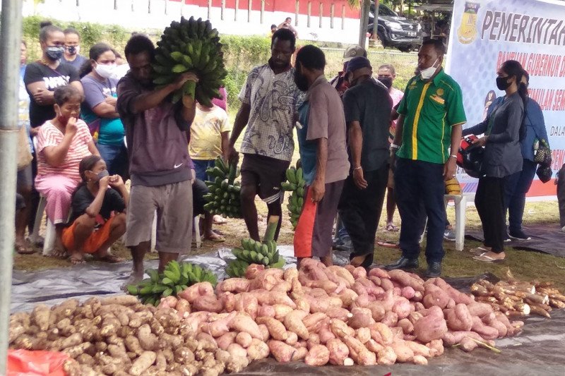 Ketersediaan Pangan Lokal Papua Di Tengah Pandemi Covid 19 Antara