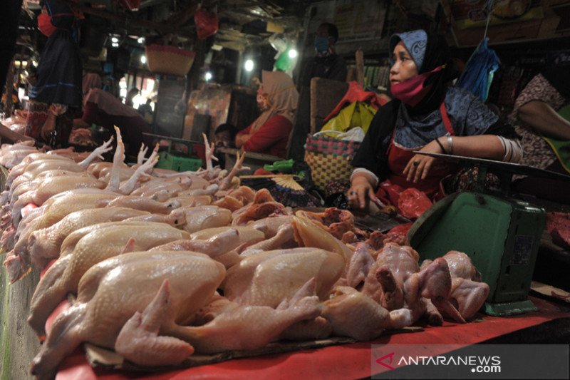 KENAIKAN HARGA AYAM POTONG DI PALEMBANG