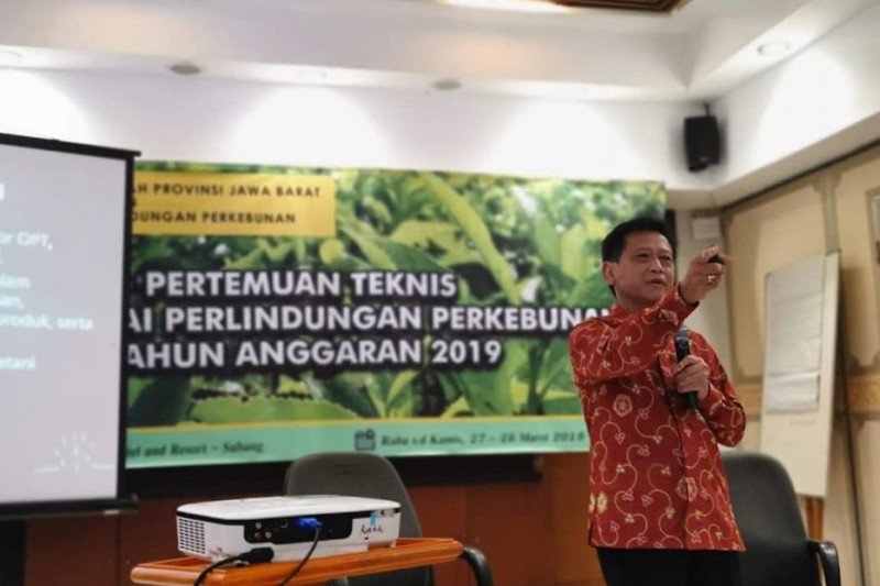 Akademisi anjurkan petani tanam padi yang hemat air jelang kemarau