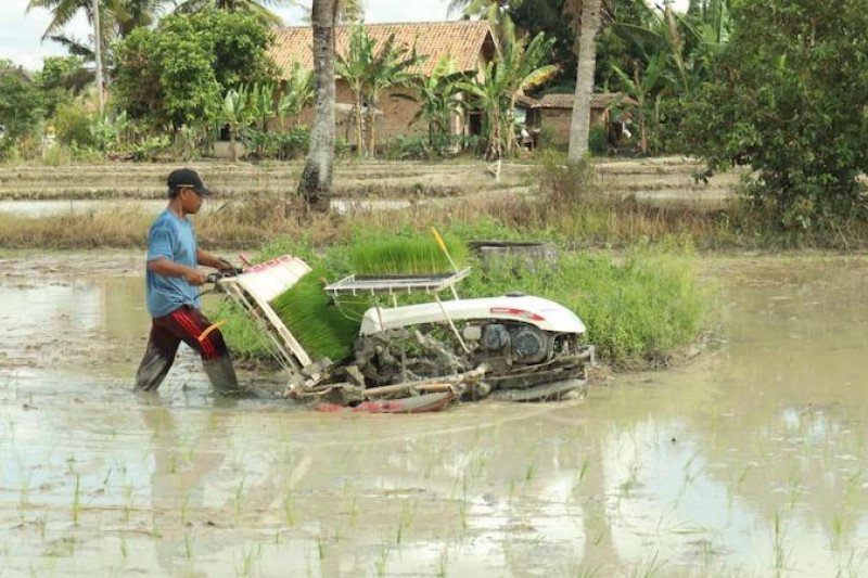 Petani Ogan Komering Ilir percepat musim tanam jaga ketahanan pangan nasional