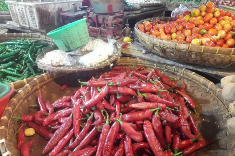 Harga cabai tanjung tembus Rp40 ribu per kilo di Cianjur