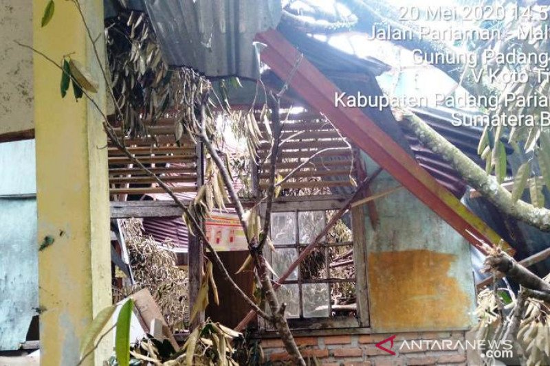 SD 16 V Koto Timur ditimpa pohon tumbang, satu kelas rusak
