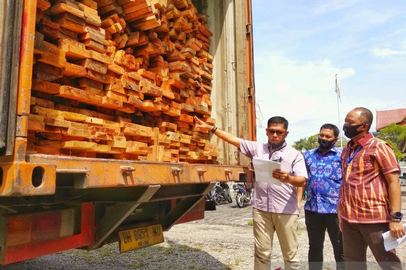Polda Riau tangkap truk tronton berisi kayu hutan lindung