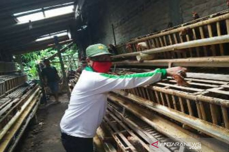 Stok pangan di Kulon Progo aman