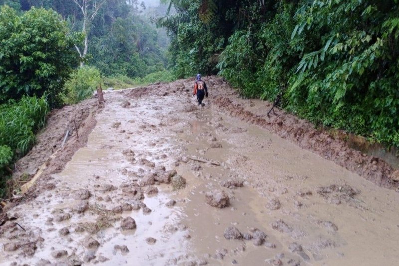 Jalan penghubung Bukittinggi-Pasaman Barat tertimbun longsor sepanjang 25 meter