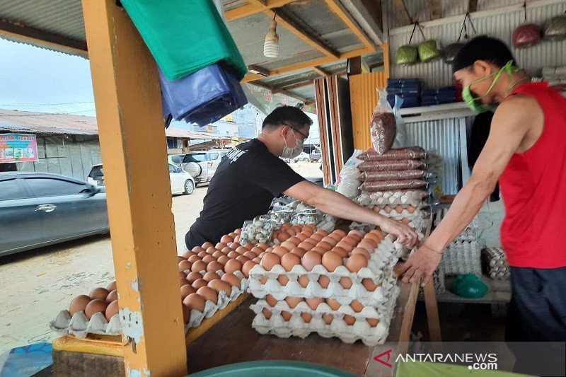 Di Kendari 80 Persen Kebutuhan Telur Masih Dari Luar Daerah Antara News Sulawesi Tenggara 3074