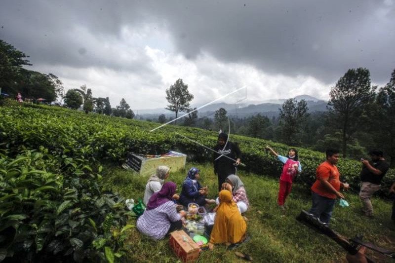 Kawasan Puncak Mulai Ramai Wisatawan