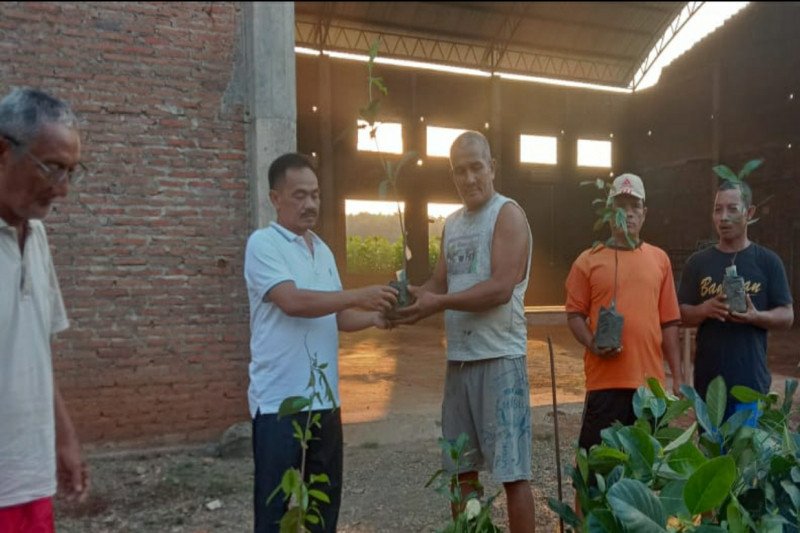 Warga Demak, Kudus, dan Jepara peroleh ratusan bibit pohon