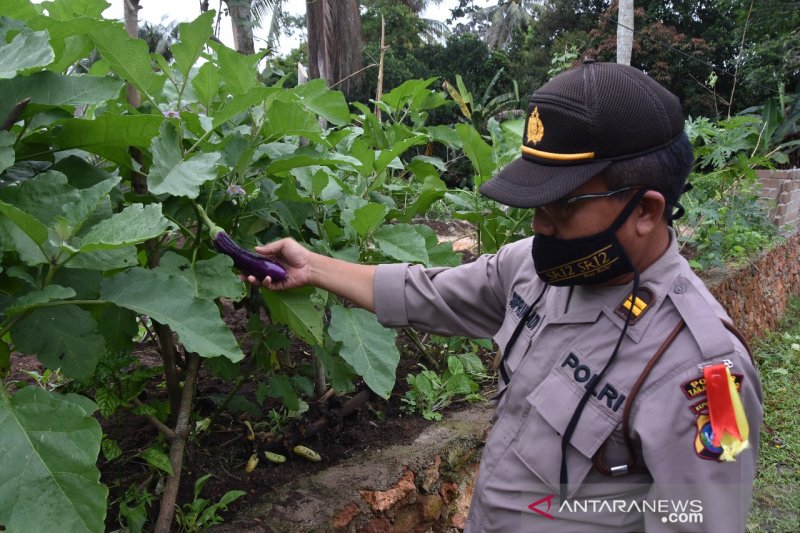 Polres Tanjungpinang ikut bangun ketahanan pangan sambut normal baru