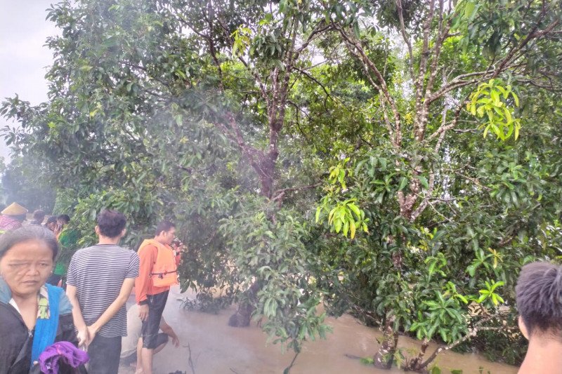BPBD Lampung Timur lanjutkan pencarian korban hilang di sungai Jumat besok