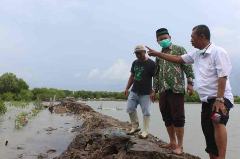 Ribuan rumah di Indramayu tergenangi banjir rob
