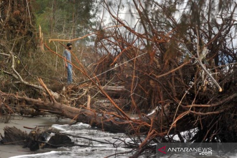 KERUSAKAN PANTAI AKIBAT ABRASI