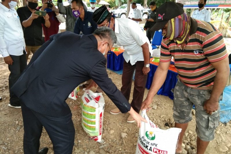 Terdampak COVID-19, Kolaka Timur bagikan pupuk Phonska kepada kelompok tani