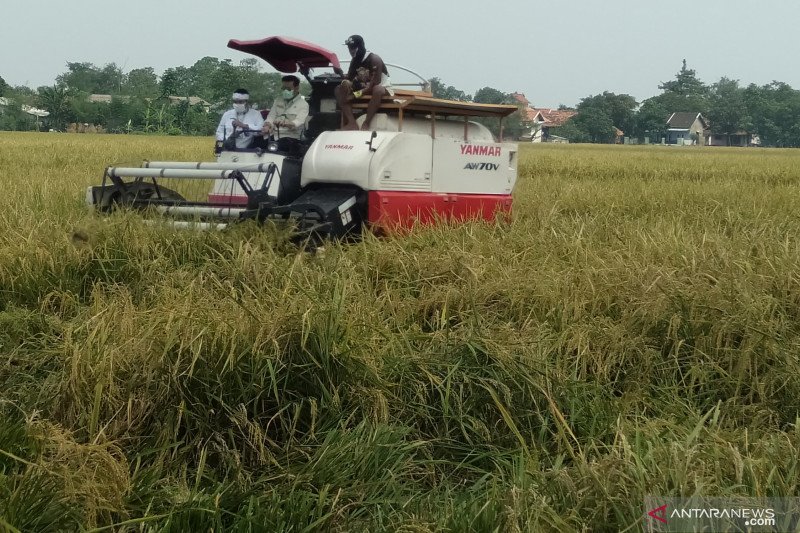 Mentan kunjungi Karawang, pastikan upaya jaga pasokan pangan