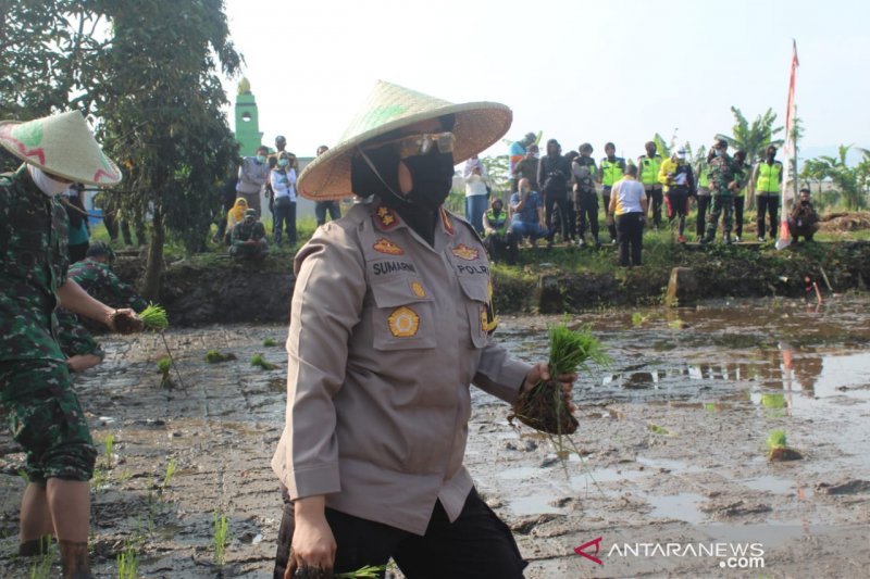 Polres Sukabumi Kota gagas aksi budidaya padi dan ikan