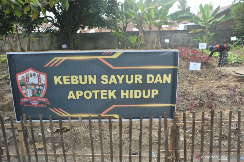 Melihat Kampung Tangkal COVID 19 di Palembang