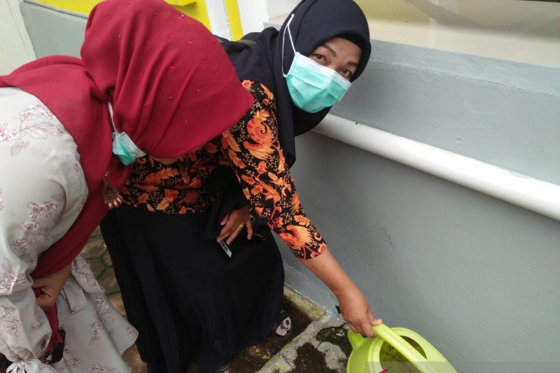 Empat orang warga Ophir Pasaman Barat terjangkit DBD, satu diantaranya sembuh