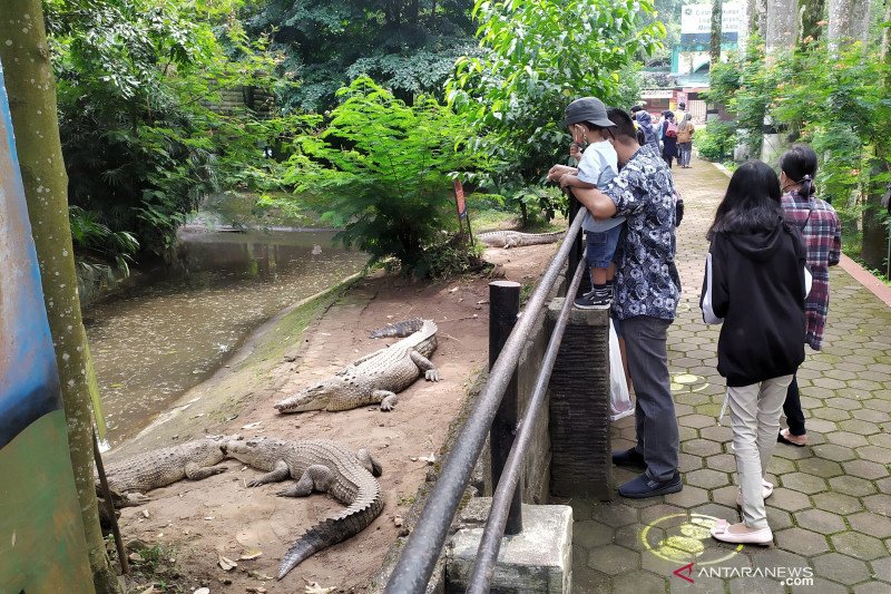 Kebun Binatang Bandung masih sepi pengunjung di hari pertama AKB