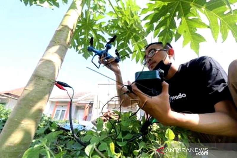 Drone berdaya asam pohon pepaya