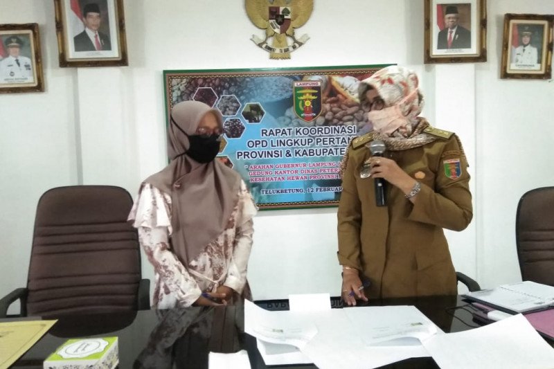 Dinas Peternakan dan Kesehatan Hewan Lampung jalin MoU dengan UTB