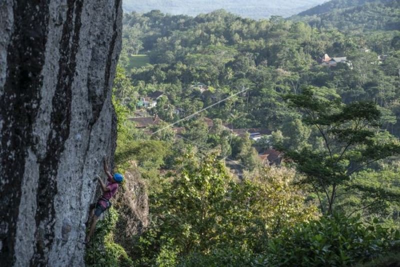 Pemanjat Berlatih di Tebing Batuan Gunung Api Purba Nglanggeran