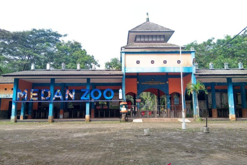 Objek Wisata Medan Zoo Kembali Dibuka Pads 5 Juli Antara News
