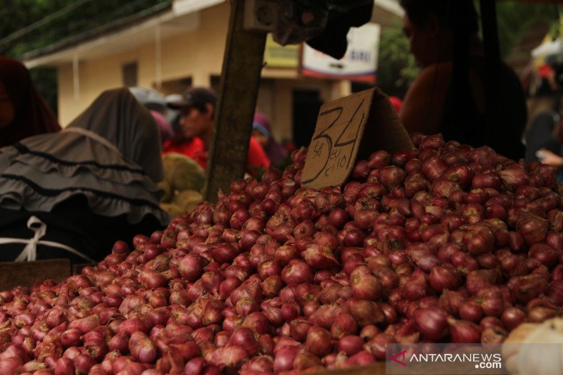 Harga bawang merah di Pariaman mulai turun, harga telur naik