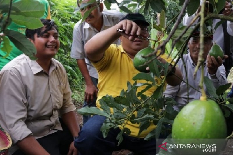 Pemkab Sukabumi tingkatkan ketahanan UMKM di masa pandemi corona