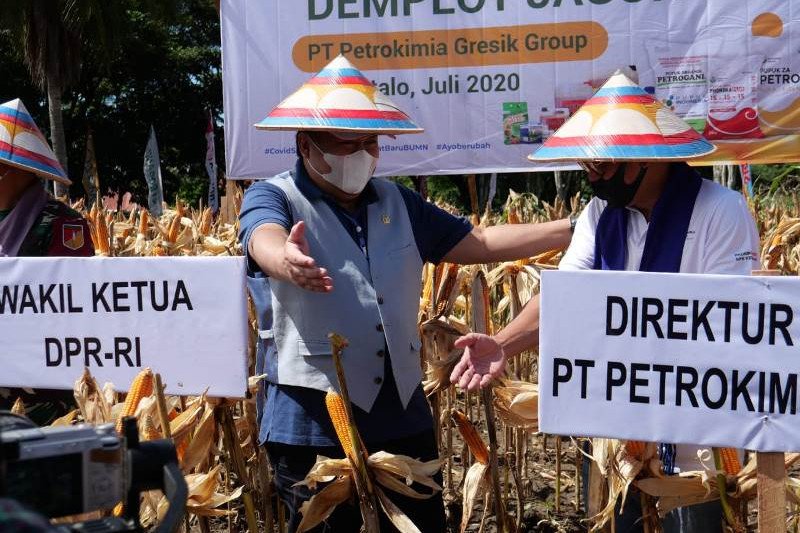 Petrokimia Gresik meningkatkan produktivitas pertanian di tengah pandemi