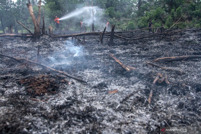 Polda Riau tetapkan Direktur PT DSI jadi tersangka Karhutla, begini penjelasannya