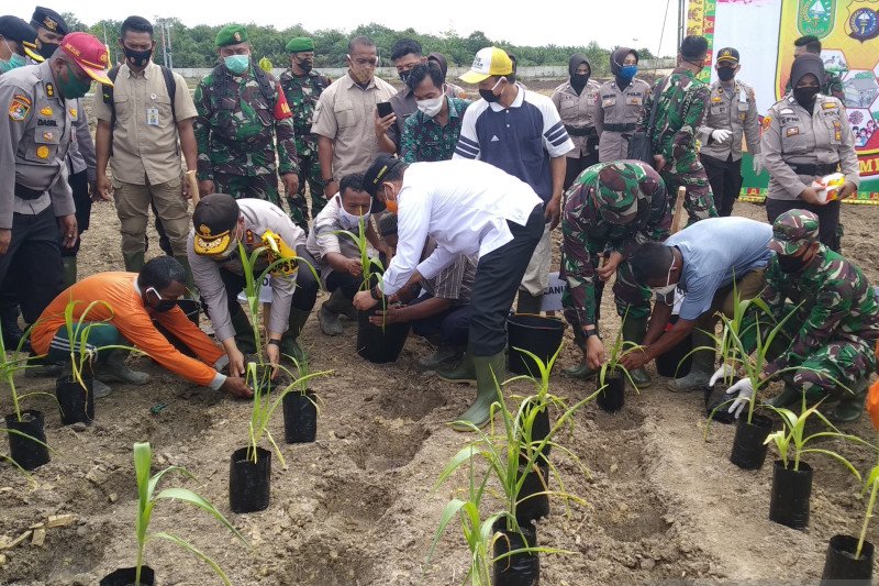 Jaga Kampung, gerakan mewujudkan ketahanan pangan