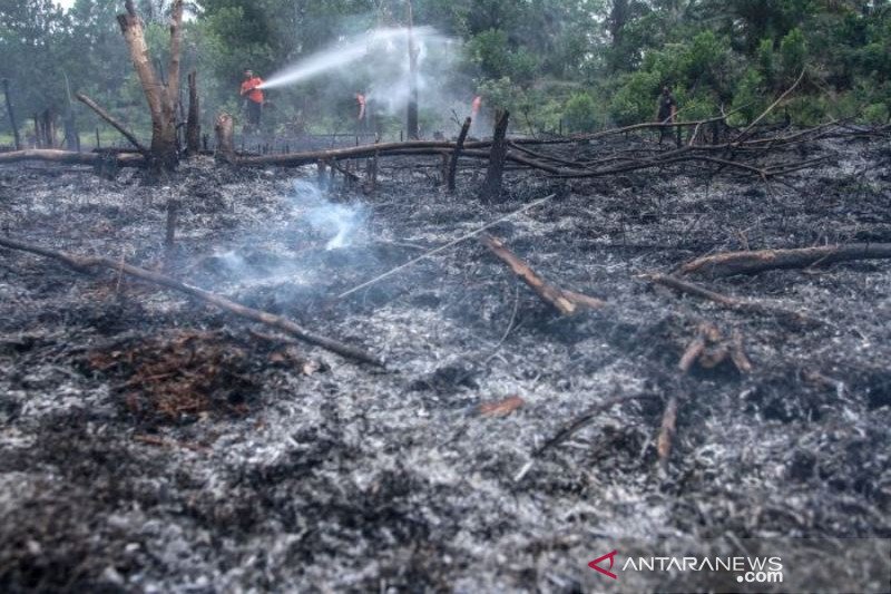 KEBAKARAN LAHAN DI PEKANBARU