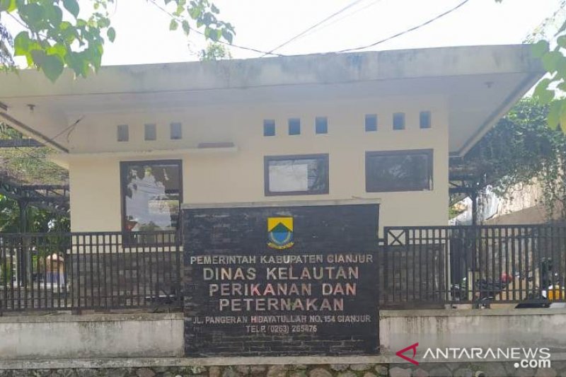 Cianjur perketat pemeriksaan hewan kurban terutama dari luar daerah