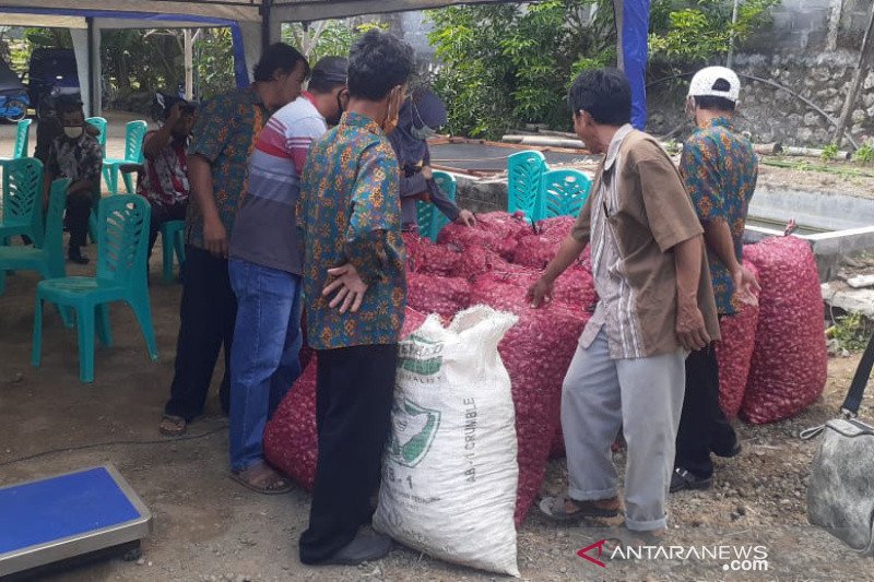 Petani bawang merah kenakan uang muka 10 persen kepada pedagang