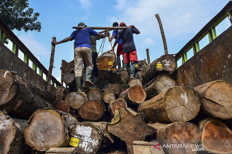 Ekspor produk hasil hutan