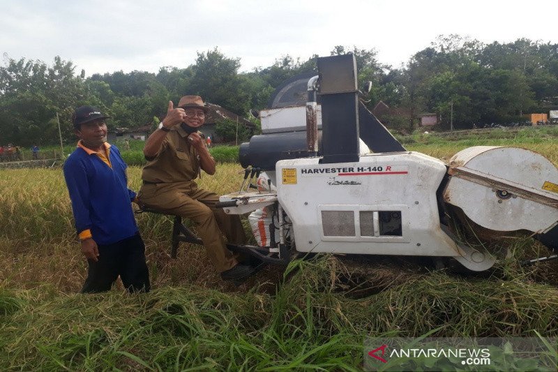 Gunung Kidul bangun irigasi perpompaan airi 45 hektare