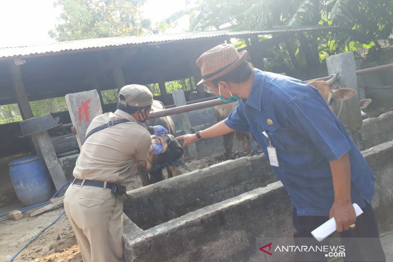Gunung Kidul pantau gudang ternak milik masyarakat
