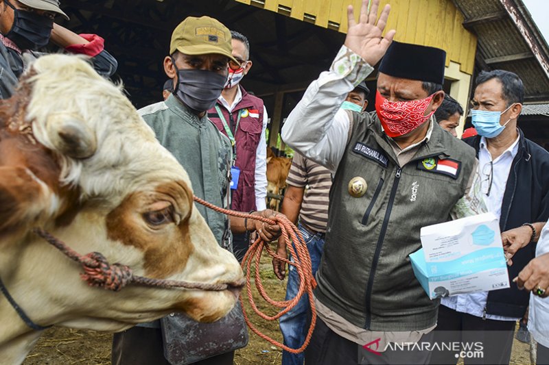 Wagub Jabar tinjau pasar hewan